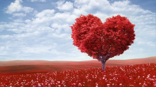 472254_valentines-day_love_romance_heart_tree_green_5000x2812_www.GdeFon.ru_